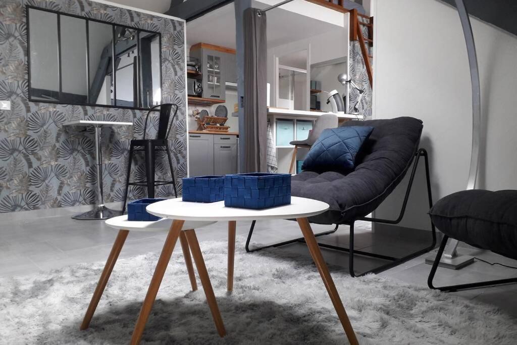 Loft Haut De Gamme Centre Montargis, Place De Parking, Local A Velos, Linge De Lits Et Serviettes, Coin Riviere Amenage, Hamac, Epicerie, Velos En Option, Tout Confort Jusqu'A 4 Voyageurs Εξωτερικό φωτογραφία