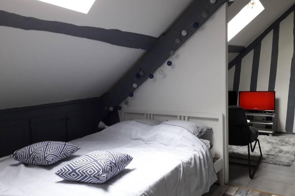Loft Haut De Gamme Centre Montargis, Place De Parking, Local A Velos, Linge De Lits Et Serviettes, Coin Riviere Amenage, Hamac, Epicerie, Velos En Option, Tout Confort Jusqu'A 4 Voyageurs Εξωτερικό φωτογραφία