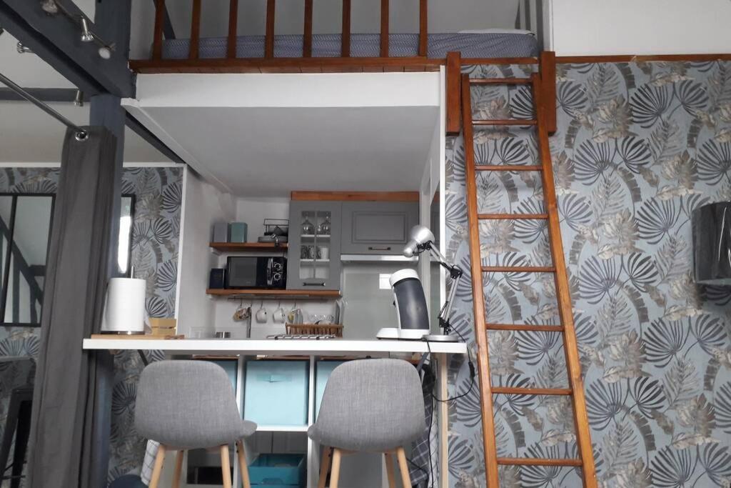 Loft Haut De Gamme Centre Montargis, Place De Parking, Local A Velos, Linge De Lits Et Serviettes, Coin Riviere Amenage, Hamac, Epicerie, Velos En Option, Tout Confort Jusqu'A 4 Voyageurs Εξωτερικό φωτογραφία