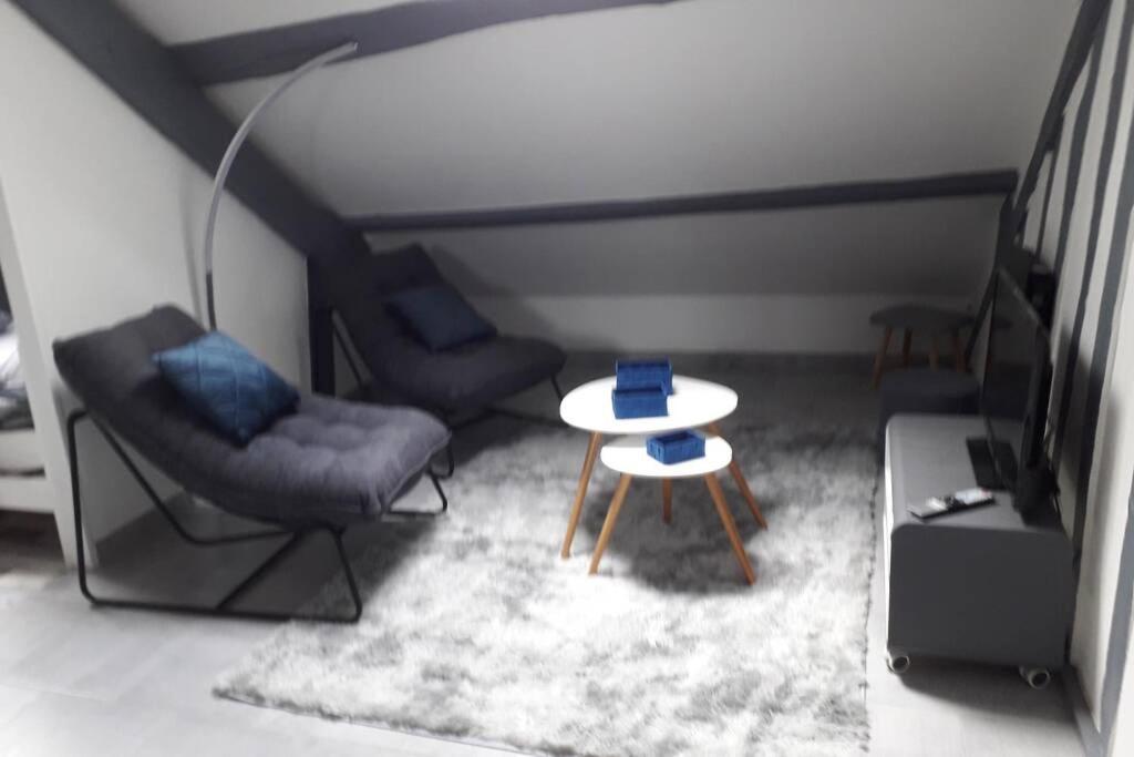 Loft Haut De Gamme Centre Montargis, Place De Parking, Local A Velos, Linge De Lits Et Serviettes, Coin Riviere Amenage, Hamac, Epicerie, Velos En Option, Tout Confort Jusqu'A 4 Voyageurs Εξωτερικό φωτογραφία