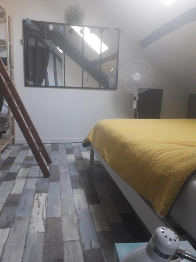 Loft Haut De Gamme Centre Montargis, Place De Parking, Local A Velos, Linge De Lits Et Serviettes, Coin Riviere Amenage, Hamac, Epicerie, Velos En Option, Tout Confort Jusqu'A 4 Voyageurs Εξωτερικό φωτογραφία