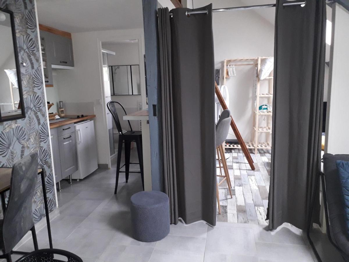 Loft Haut De Gamme Centre Montargis, Place De Parking, Local A Velos, Linge De Lits Et Serviettes, Coin Riviere Amenage, Hamac, Epicerie, Velos En Option, Tout Confort Jusqu'A 4 Voyageurs Εξωτερικό φωτογραφία