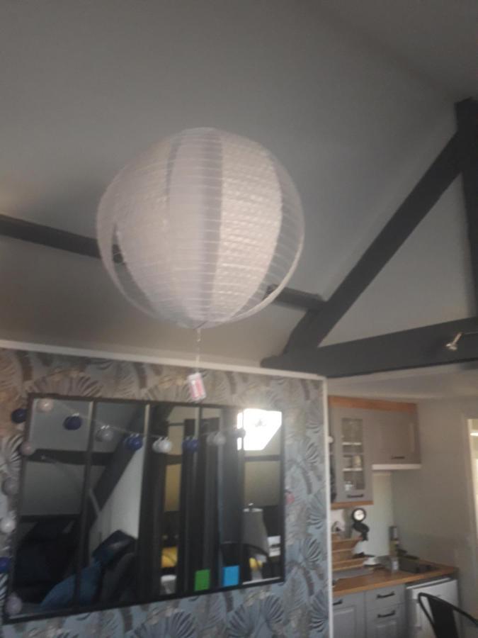 Loft Haut De Gamme Centre Montargis, Place De Parking, Local A Velos, Linge De Lits Et Serviettes, Coin Riviere Amenage, Hamac, Epicerie, Velos En Option, Tout Confort Jusqu'A 4 Voyageurs Εξωτερικό φωτογραφία