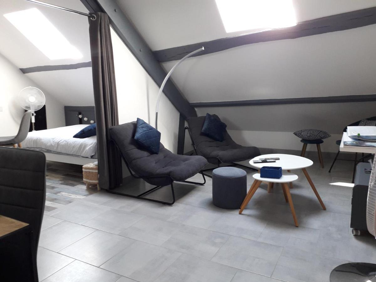 Loft Haut De Gamme Centre Montargis, Place De Parking, Local A Velos, Linge De Lits Et Serviettes, Coin Riviere Amenage, Hamac, Epicerie, Velos En Option, Tout Confort Jusqu'A 4 Voyageurs Εξωτερικό φωτογραφία